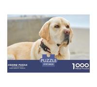 Puzzle Labrador Retriever pour Adulte, idéal pour se détendre Un Labrador Jaune avec Un Collier Regarde ailleurs. Jeu éducatif de 1000pcs 38x26cm.