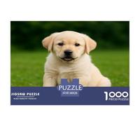 Puzzle Labrador Retriever pour Toute la Famille Un Chiot Labrador Jaune Assis dans l’Herbe, la Gueule Ouverte. Idéal pour Les Femmes, Les Hommes, Les Adultes et Les Enfants. 38x26 cm/1000pcs