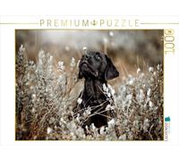 Puzzle · Labrador Retriever Welpe | Heure d'or, fourrure noire · la nature rencontre le caractère · 1000 pièces · Format assemblé 64 × 48 cm · CALVENDO Puzzle