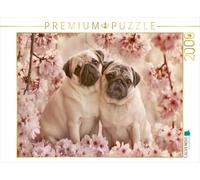 Puzzle · l'amour Commence par Un Regard fidèle | 2000 pièces · Format assemblé 90 × 67 cm · CALVENDO Puzzle