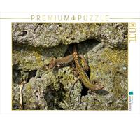 Puzzle · l'amour des lézards | Reptiles et lézards · 1000 pièces · Format assemblé 64 × 48 cm · CALVENDO Puzzle