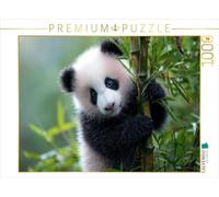 CALVENDO Puzzle Bambou et Panda - Deux Qui appartiennent Ensemble - Taille de la Pose - Puzzle Photo pour des Heures heureuses