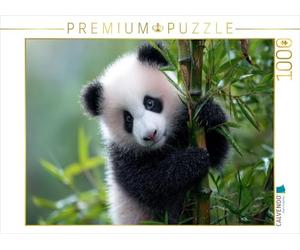 Puzzle · Le Bambou et Le Panda - Deux éléments Qui Vont Ensemble | 1000 pièces · Format assemblé 64 × 48 cm · CALVENDO Puzzle