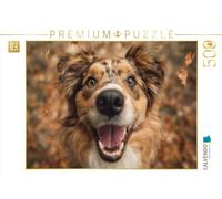 Puzzle · Le Bonheur de l'automne à Quatre Pattes | Vivre ensemble la saison dorée · 500 pièces · Format assemblé 48 × 36 cm · CALVENDO Puzzle