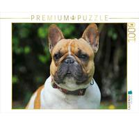 Puzzle · Le Bouledogue français : Un ami pour la Vie | 1000 pièces · Format assemblé 64 × 48 cm · CALVENDO Puzzle