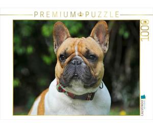 Puzzle · Le Bouledogue français : Un ami pour la Vie | 1000 pièces · Format assemblé 64 × 48 cm · CALVENDO Puzzle