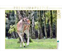 Puzzle · Le cerf de Sika - Le Petit Asiatique de nos forêts | 1000 pièces · Format assemblé 64 × 48 cm · CALVENDO Puzzle