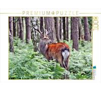 Puzzle · Le cerf de Sika - Le Petit Asiatique de nos forêts | 1000 pièces · Format assemblé 64 × 48 cm · CALVENDO Puzzle