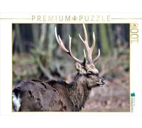 Puzzle · Le cerf de Sika - Le Petit Asiatique de nos forêts | 1000 pièces · Format assemblé 64 × 48 cm · CALVENDO Puzzle