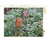 Puzzle · Le cerf de Sika - Le Petit Asiatique de nos forêts | 1000 pièces · Format assemblé 64 × 48 cm · CALVENDO Puzzle