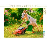 Puzzle · Le Chaos est Garanti | Quand c'est la mauvaise personne qui doit jouer la main verte · 1000 pièces · Format assemblé 64 × 48 cm · CALVENDO Puzzle