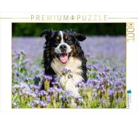 Puzzle · Le Chien de rêve : Le Bouvier Bernois | 1000 pièces · Format assemblé 64 × 48 cm · CALVENDO Puzzle
