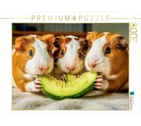 Puzzle · Le Concombre est délicieux | Petits cochons d'Inde tout mignons · 2000 pièces · Format assemblé 90 × 67 cm · CALVENDO Puzzle