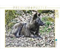 Puzzle · Le Loup Gris - Le Chasseur des Rocheuses | 1000 pièces · Format assemblé 64 × 48 cm · CALVENDO Puzzle