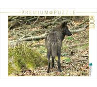 Puzzle · Le Loup Gris - Le Chasseur des Rocheuses | 1000 pièces · Format assemblé 64 × 48 cm · CALVENDO Puzzle