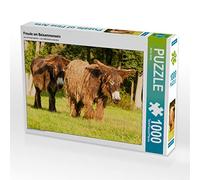 Puzzle · Le Plaisir d'être Ensemble | Le plaisir d'être ensemble · 1000 pièces · Format assemblé 64 × 48 cm · CALVENDO Puzzle