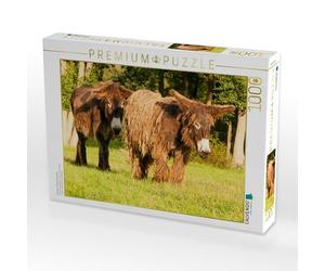 Puzzle · Le Plaisir d'être Ensemble | Le plaisir d'être ensemble · 1000 pièces · Format assemblé 64 × 48 cm · CALVENDO Puzzle