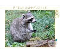 Puzzle · Le Raton Laveur - Le Porteur de Masque de nos forêts | 1000 pièces · Format assemblé 64 × 48 cm · CALVENDO Puzzle
