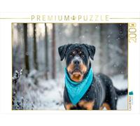 Puzzle · Le Rottweiler : Un Compagnon imposant dans la Neige | Passer l' er en pleine forme · 2000 pièces · Format assemblé 90 × 67 cm · CALVENDO Puzzle