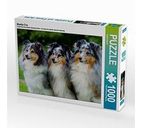 Puzzle · Le Trio de Shelties | 1000 pièces · Format assemblé 64 × 48 cm · CALVENDO Puzzle