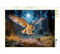 Puzzle · Légère comme Une Plume au Clair de Lune | Les chouettes dans les forêts allemandes · 1000 pièces · Format assemblé 64 × 48 cm · CALVENDO Puzzle