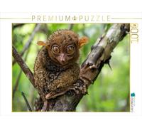 Puzzle · Lemur Nain des Philippines à Bohol | 1000 pièces · Format assemblé 64 × 48 cm · CALVENDO Puzzle