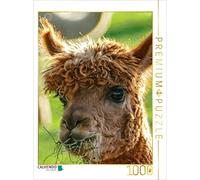 Puzzle · Les alpagas : Mignons et Tout Doux | 1000 pièces · Format assemblé 64 × 48 cm · CALVENDO Puzzle