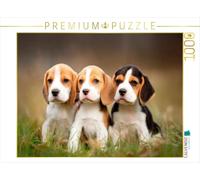 Puzzle · Les Beagles : Un Trio à Tomber Amoureux | Trois petits séducteurs · 1000 pièces · Format assemblé 64 × 48 cm · CALVENDO Puzzle