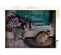 Puzzle · Les Chats de la Ferme à Hamelwörden-Altendorf | 1000 pièces · Format assemblé 64 × 48 cm · CALVENDO Puzzle