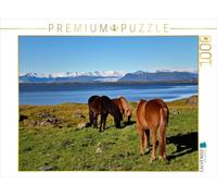 Puzzle · Les Chevaux islandais à Stokksnes | L'Islande, ça ne va pas sans chevaux · 1000 pièces · Format assemblé 64 × 48 cm · CALVENDO Puzzle