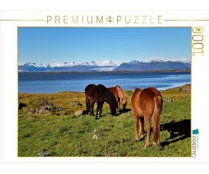 Puzzle · Les Chevaux islandais à Stokksnes | L'Islande, ça ne va pas sans chevaux · 1000 pièces · Format assemblé 64 × 48 cm · CALVENDO Puzzle
