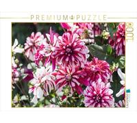 Puzzle · Les Dahlias : de Magnifiques Fleurs de Fin d'été | Dahlia ornemental « Andre · 1000 pièces · Format assemblé 64 × 48 cm · CALVENDO Puzzle
