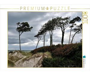 Puzzle · Les épines de mer se courbent en Travers du Sable | Sur la plage ouest du Darß · 1000 pièces · Format assemblé 64 × 48 cm · CALVENDO Puzzle