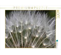 Puzzle · Les graines Volantes du Pissenlit | Pissenlit fané, également appelé « fleur de pissenlit · 1000 pièces · Format assemblé 64 × 48 cm · CALVENDO Puzzle