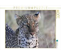 Puzzle · Les léopards - Un Regard | 1000 pièces · Format assemblé 64 × 48 cm · CALVENDO Puzzle