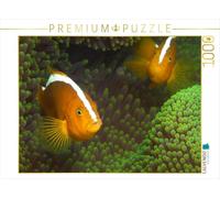 Puzzle · Les Nemos dans leur maison verte | Deux poissons-clowns orange tout près · 1000 pièces · Format assemblé 64 × 48 cm · CALVENDO Puzzle