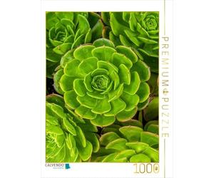 Puzzle · Les Plantes succulentes Aeonium Vues d'en Haut | 1000 pièces · Format assemblé 64 × 48 cm · CALVENDO Puzzle