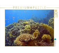 Puzzle · Les Poissons-Drapeaux dans Le récif | Une illustration tirée du calendrier « Impressions de la mer… · 1000 pièces · Format assemblé 64 × 48 cm · CALVENDO Puzzle