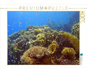Puzzle · Les Poissons-Drapeaux dans Le récif | Une illustration tirée du calendrier « Impressions de la mer… · 1000 pièces · Format assemblé 64 × 48 cm · CALVENDO Puzzle