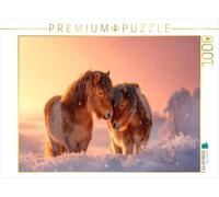 Puzzle · Les poneys des Shetland - Ensemble, traversons l' ER | La magie de l' er à deux · 1000 pièces · Format assemblé 64 × 48 cm · CALVENDO Puzzle