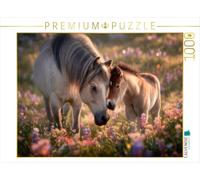 Puzzle · Les poneys des Shetland - Une Relation Tendre et affectueuse | Le bonheur d'être maman dans la prairie fleurie · 1000 pièces · Format assemblé 64 × 48 cm · CALVENDO Puzzle