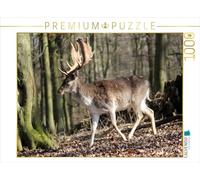 Puzzle · Les Rois de la forêt : Les Cerfs | 1000 pièces · Format assemblé 64 × 48 cm · CALVENDO Puzzle