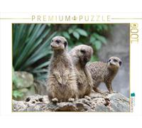Puzzle · Les suricates : de Petits sentinelles | 1000 pièces · Format assemblé 64 × 48 cm · CALVENDO Puzzle