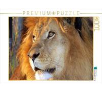 Puzzle · Lion | Afrique Namibie · 1000 pièces · Format assemblé 64 × 48 cm · CALVENDO Puzzle