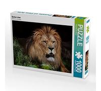 Puzzle · Lion du Berber | 1000 pièces · Format assemblé 64 × 48 cm · CALVENDO Puzzle