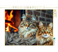 Puzzle · Main Coons - Câlins au Coin du feu | Portrait magique · 1000 pièces · Format assemblé 64 × 48 cm · CALVENDO Puzzle
