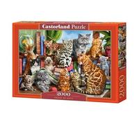 Castorland CSC200726 Puzzle Divers