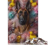 Puzzle Malinois Belge 500 pièces pour Adultes et Adolescents (18 Ans et Plus). Cadeau d'anniversaire (52 x 38 cm).