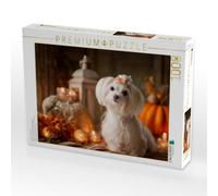 Puzzle · Malteser - Herbstliche Gemütlichkeit | Zauberhafter kleiner Hund · 1000 pièces · Format assemblé 64 × 48 cm · CALVENDO Puzzle