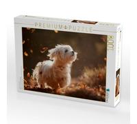 Puzzle · Malteser - Tanz der Herbstblätter | Freiheit auf vier Pfoten · 1000 pièces · Format assemblé 64 × 48 cm · CALVENDO Puzzle